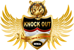 Mixed Martial Arts MMA Training Delhi Janakpuri Lajpat Nagar Laxmi Nagar